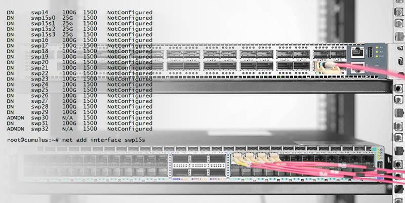 QSFP28 100G Port Plays with 40G, 25G and 10G.png