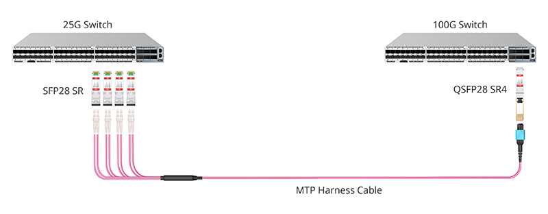 QSFP28 SR4 Module 25G to 100G Migration.jpg