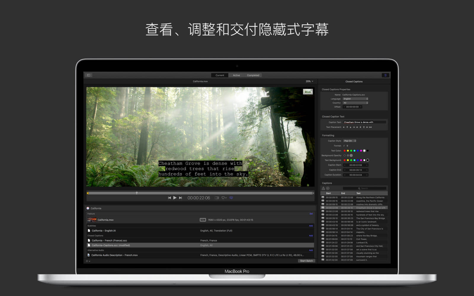 Apple Motion 5.4.2 破解版免费下载 中英文版 苹果视频剪辑软件